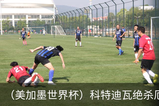 （美加墨世界杯）科特迪瓦绝杀厄瓜多尔 瑞典5:1大胜突尼斯