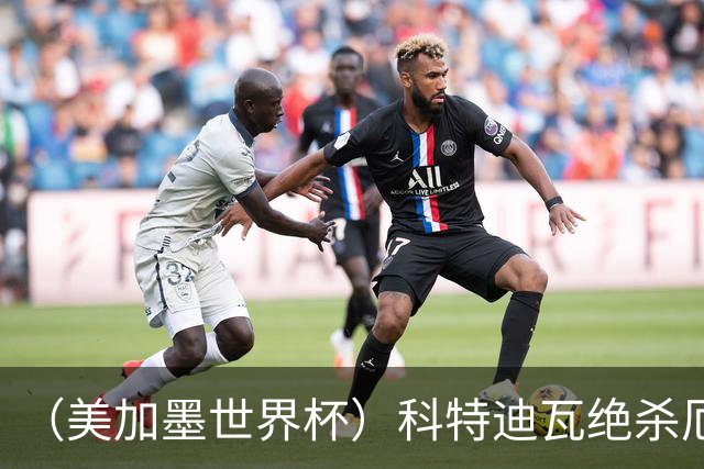 （美加墨世界杯）科特迪瓦绝杀厄瓜多尔 瑞典5:1大胜突尼斯